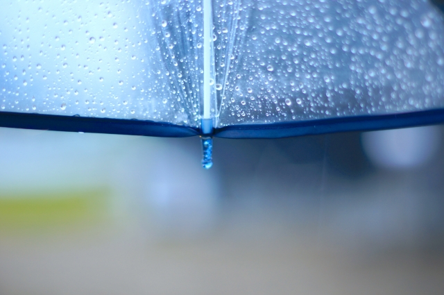 雨水が滴る雨傘。