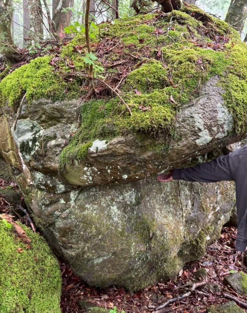 ビリビリ苔石体験中。