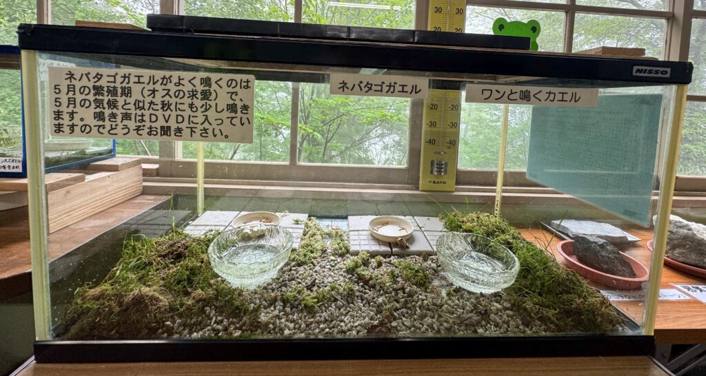 「“今日はよく鳴くなあ”――館長さんの声に、ほっこり」