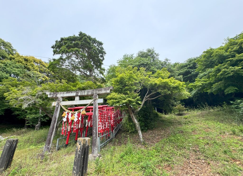 裏山の神社と、幼い日の記憶。あの頃の私に出会いに——地図とあの日のおにぎりと、裏山の神社