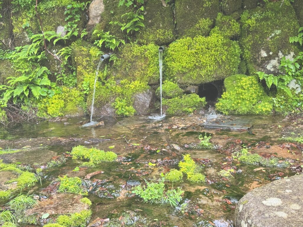 矢作川源流のせせらぎ。また行きたくなる、不思議な力をもらった山の旅。
