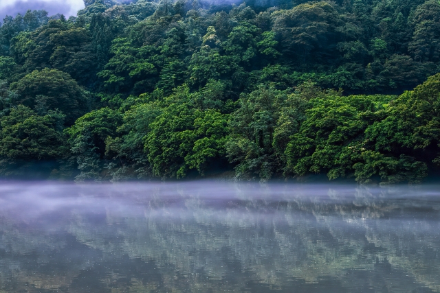 朝霧の川面に写る山々