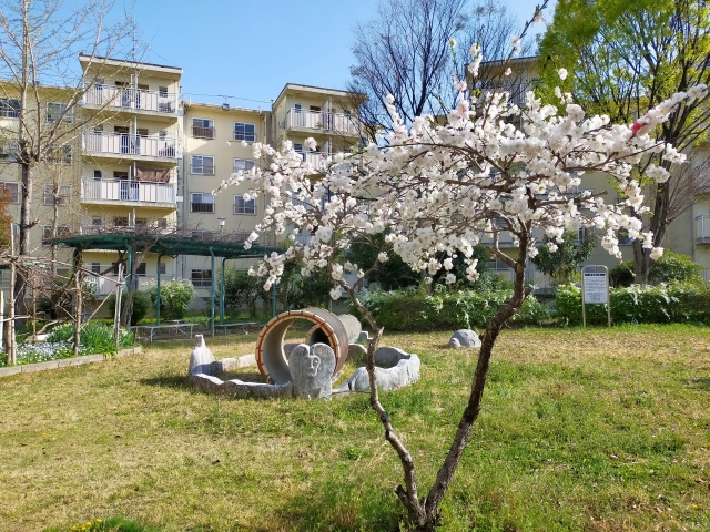 昭和の団地と土管公園