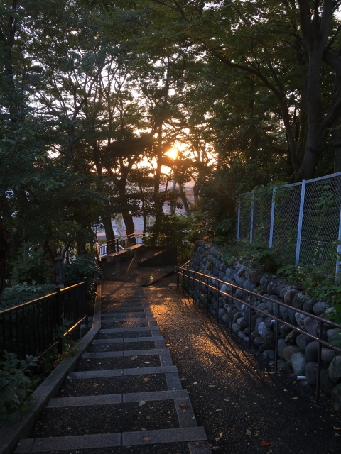 夕暮れの坂道の風景。