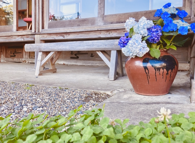 古い縁側と、壺に生けた色とりどりの紫陽花
