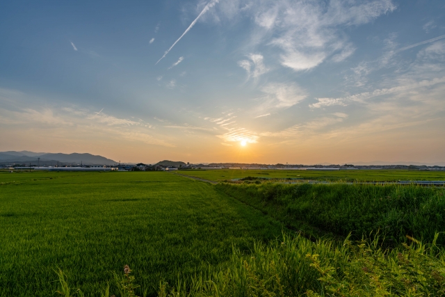 夏の夕暮れ、田舎道に沈む茜色の空と遠くに見える山影