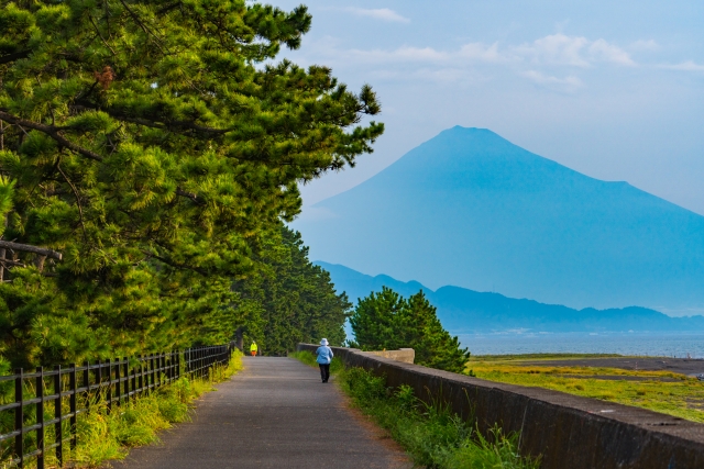 清水から臨む夏の富士山。