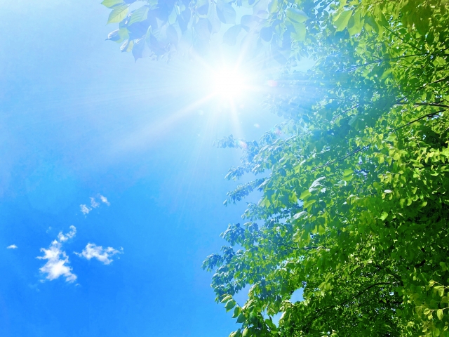 真夏の強い日差しが照りつける青空と、白くまぶしい入道雲が広がる風景。照り返しが強く、地面の暑さまで感じられるような夏の日。