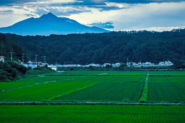 青空の下、岩木山を背景に広がる緑豊かな田園風景。静かな自然と農村の暮らしを感じさせる風景写真