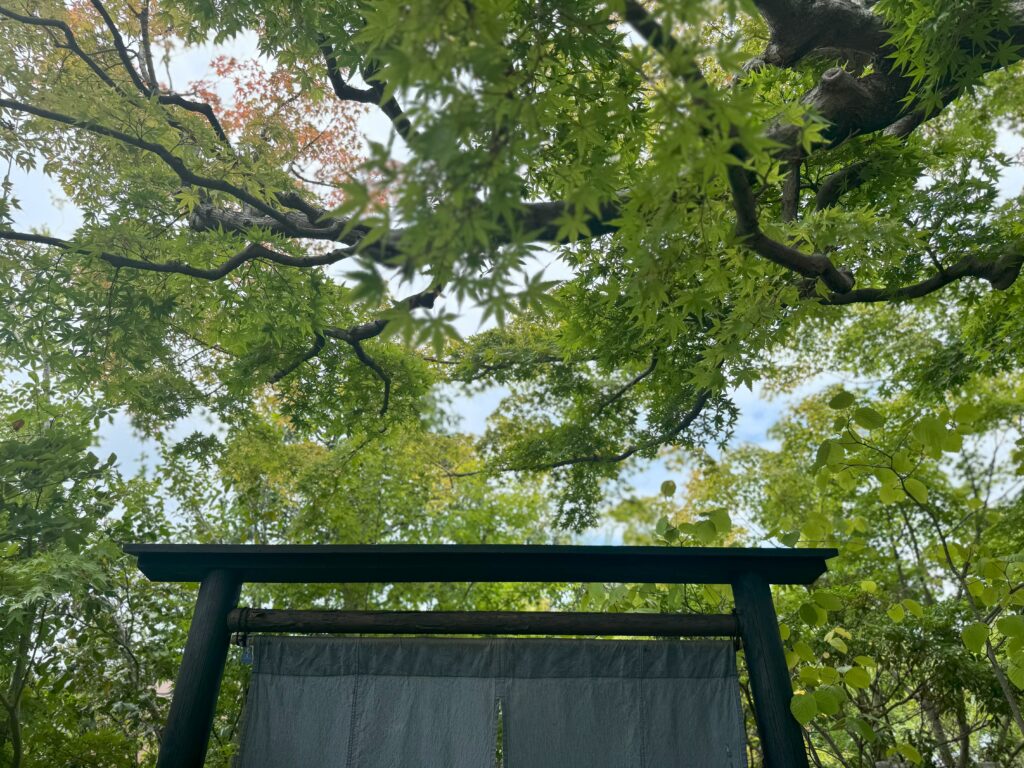 「スープラボ」の手入れが行き届いた木々の様子