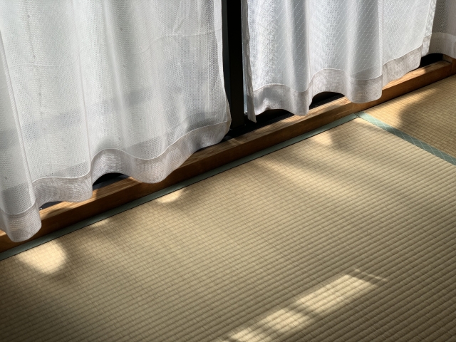 実家の古い畳に射すやわらかな日差し