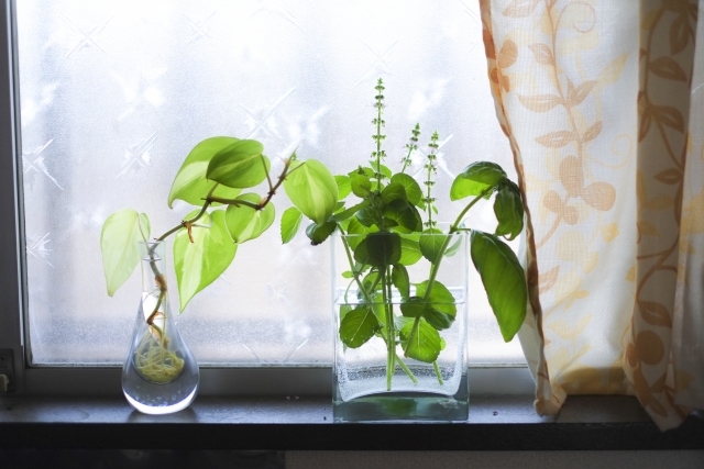 窓の外の光と静かな時間